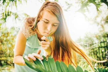 Garden Insects: Friend or Foe?